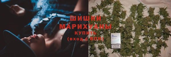 прущие грибы Алзамай
