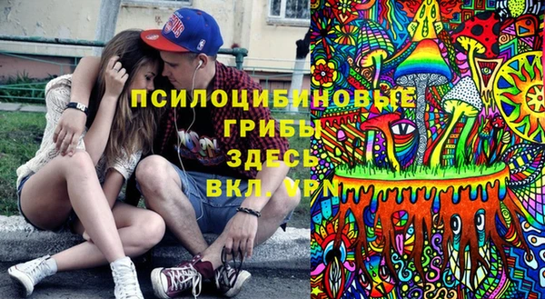 прущие грибы Алзамай