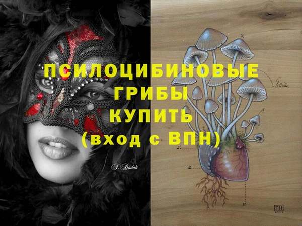 экстази Алексин