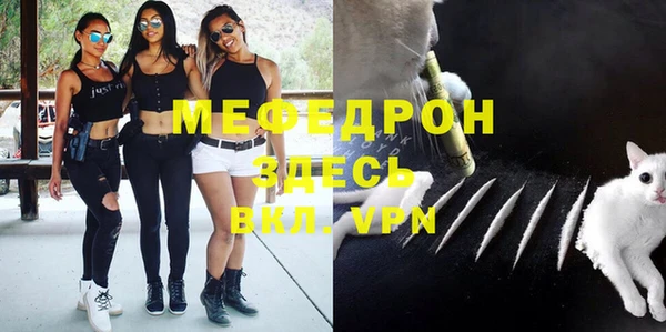 стаф Арсеньев
