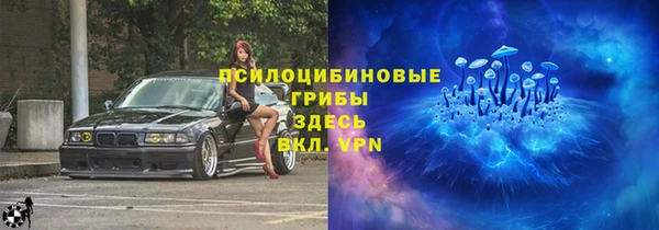бошки Аркадак