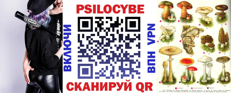 где продают   Багратионовск  Галлюциногенные грибы Psilocybe 